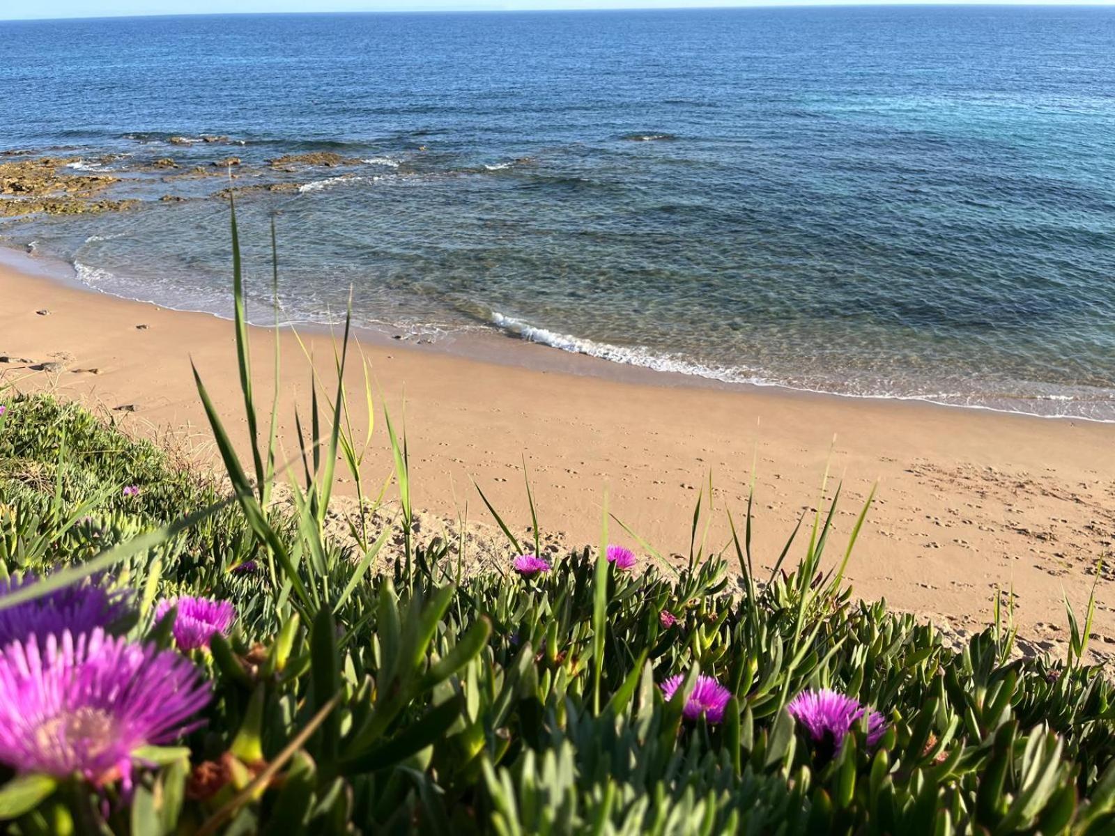 לינה וארוחת בוקר לוס קניוס דה מקה La Sirena Del Viento מראה חיצוני תמונה